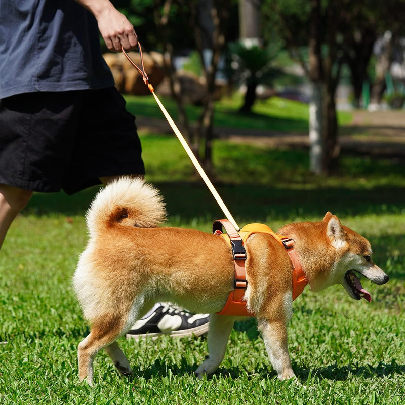 Coleira Peitoral com Alça Retrátil exclusiva para Cães