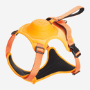 Coleira Peitoral com Alça Retrátil exclusiva para Cães