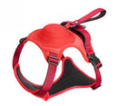 Coleira Peitoral com Alça Retrátil exclusiva para Cães