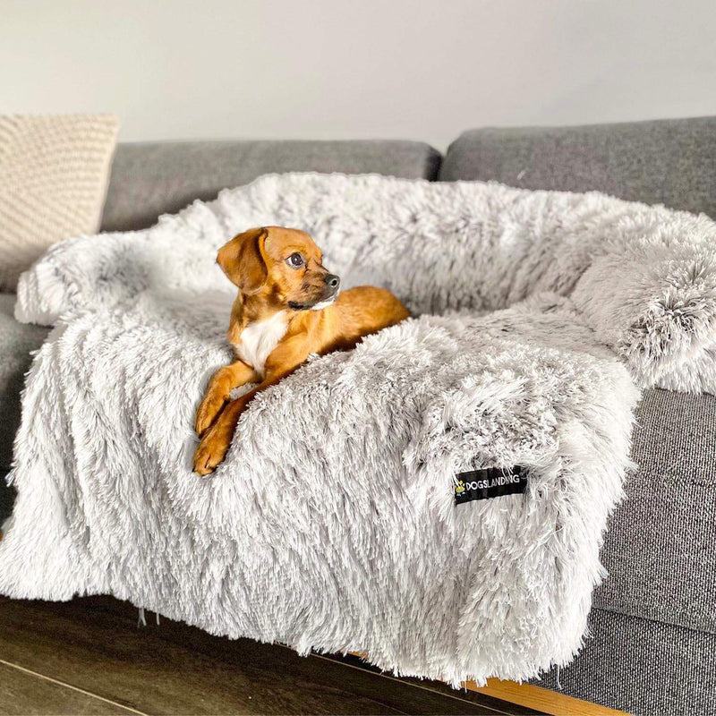 Cama Impermeável para Pets, Protetor de Sofá, Cama Anti Infiltração