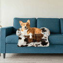 Cama Impermeável para Pets, Protetor de Sofá, Cama Anti Infiltração