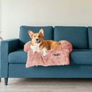 Cama Impermeável para Pets, Protetor de Sofá, Cama Anti Infiltração